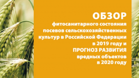 «Россельхозцентр» опубликовал прогноз по болезням и вредителям-2020 